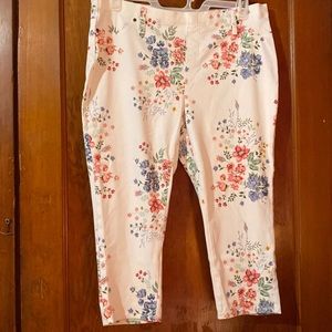 Terra & Sky capris size 1x